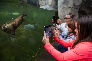 Go Beyond the Classroom: The Benefits of Tablets in Education [CASE STUDY]