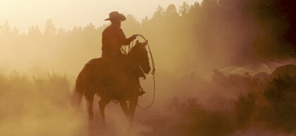 How to Tame the Wild West of Mobile Endpoints