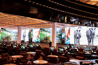 The Game-Changing Power of Giant LED Video Displays