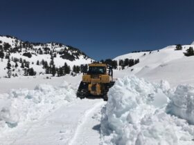 Bulldozer plowing snow in the national park