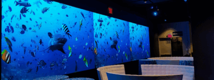 Samsung’s IF Series display changes everything we know about indoor experiences