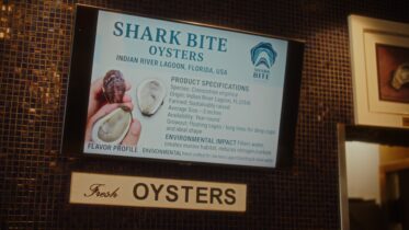 Blue Fish Restaurant and Oyster Bar elevates the guest experience with a Samsung display powered by VXT